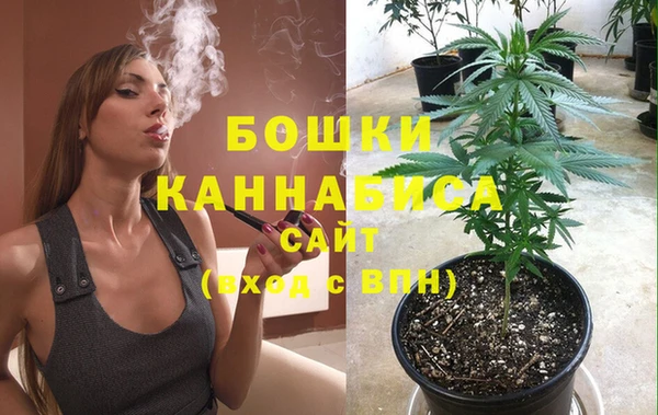 PSILOCYBIN Киренск