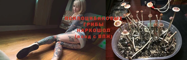 твердый Кинешма