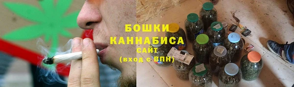 PSILOCYBIN Киренск