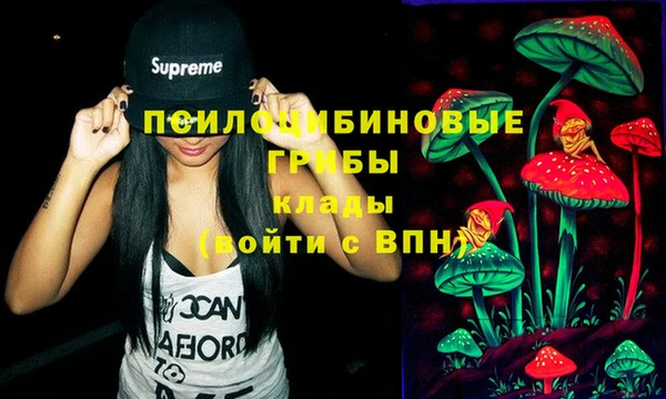 PSILOCYBIN Киренск