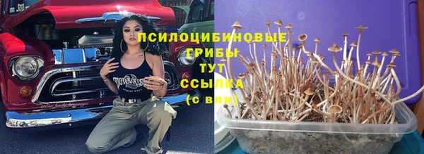 синтетический гашиш Киреевск