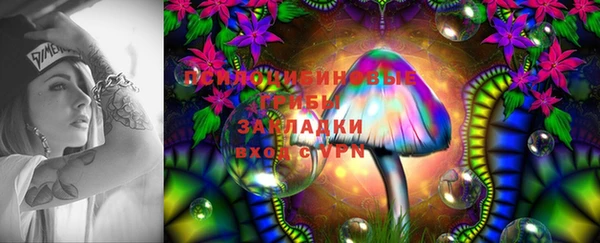 синтетический гашиш Киреевск