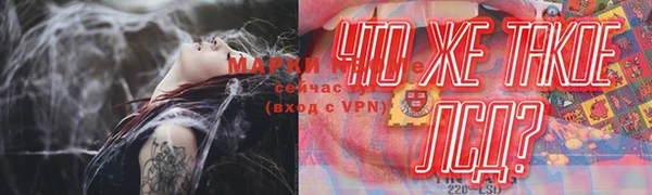 PSILOCYBIN Киренск