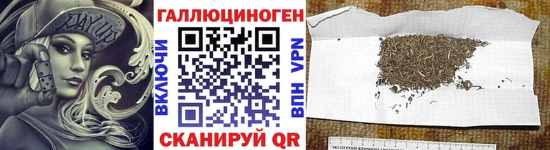 Галлюциногенные грибы Psilocybe  Купить  Ялта 